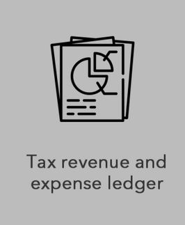 Tax revenue and expense ledger