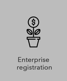 Enterprise registration